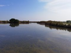 -盐城丹顶鹤湿地生态旅游区