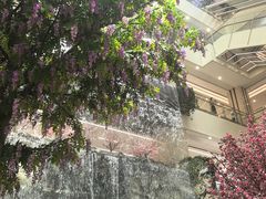 -赛格国际购物中心(小寨店)