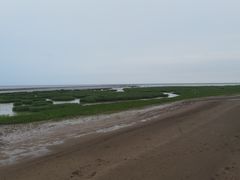 -启东黄金海滩景区