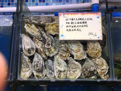 -蚝专家(北滘店)