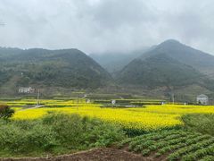 -千岛湖石林