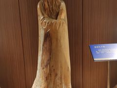 -香市公园-中国沉香文化博物馆