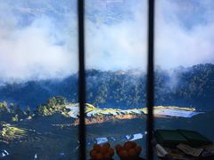 -云海肴·云南小炒·汽锅鸡(天津国金汇店)