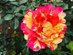 -人民公园(罗湖区)