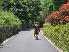 -法云古村