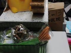 -半岛宠物医院24小时(白果林店)