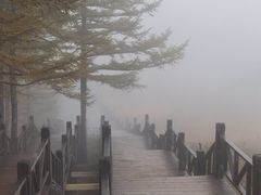 -驼梁风景区