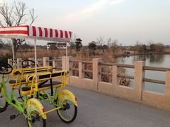 iphone_upload_pic-梁鸿国家湿地公园