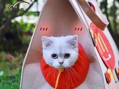 -麦当劳(领展中心城店)