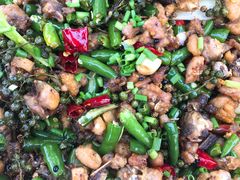 -铁山坪森林公园