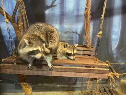 -酷嗒动物文化乐园(cutezoo西溪乐天城店)