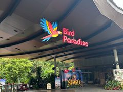 -新加坡飞禽公园
