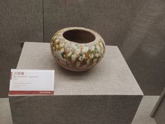 -平原博物院