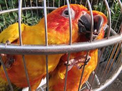 -南宫五洲植物乐园