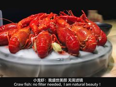-沪小胖小龙虾(淮海中路旗舰店)