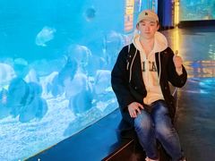 -烟台海昌鲸鲨海洋公园