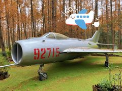 -东平国家森林公园