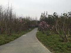 -蜀冈西峰生态公园