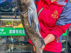 -好灶头妈妈菜·柴火灶台鱼·千岛湖土菜地标美食