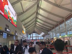 -丽江三义国际机场