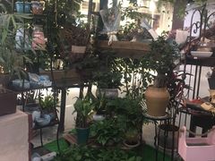 -洋洋广场(南街店)