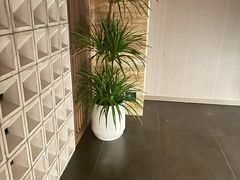 -益健·足疗汗蒸SPA(芙蓉广场店)