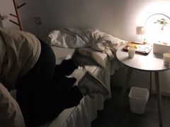 -川耳坊专业采耳馆