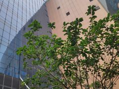 -上海龙之梦万丽酒店