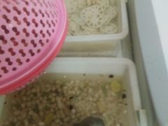 -清真餐馆(仙营路店)