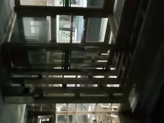 -食家鸽园