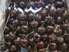 -江杨农产品批发市场