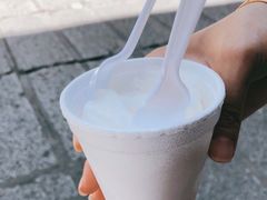 -洪馨椰子
