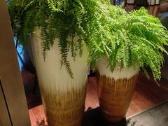 -荣轩(新荣记环球金融中心店)