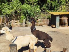 -博山九龙峪风景区
