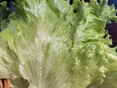 -老卜奎齐齐哈尔烤肉(人民东路店)