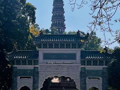 -顺峰山公园