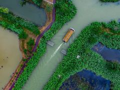 -泗洪洪泽湖湿地景区