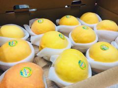 新疆火焰山黄桃-水果天空(东葛店)