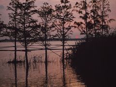 -沙家浜风景区