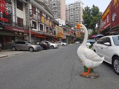 -巢湖名吃·东关老鹅汤(江南风情街店)