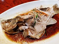 清蒸鲈鱼-红宾酒楼(百姓家宴店)