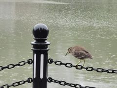 -苏州河梦清园环保主题公园