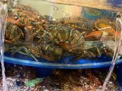 -海景壹号大酒店(滨湖店)