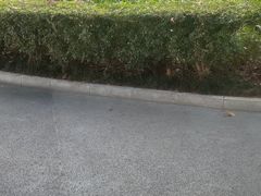 -南山图书馆(常兴路店)