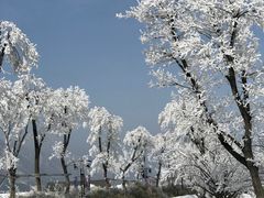 -江南天池