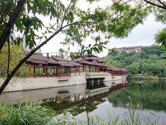 -重庆彩云湖湿地公园