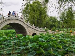 -长春市南湖公园