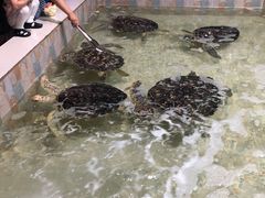 -常州海昌海洋探索馆