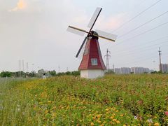 -菊园百果园