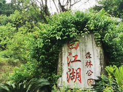 -广州白江湖森林公园